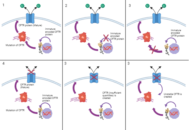 CFTR mutation classes figure