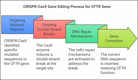 CRISPR-Cas9 CFTR correction